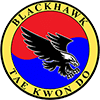 Jr. Hawks | Kids Martial Arts Classes Carpentersville, Blackhawk TaeKwonDo Carpentersville