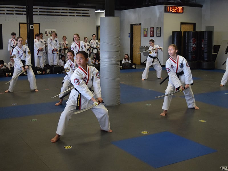 kids martial arts classes in overland park
