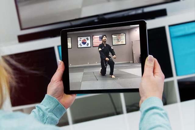 Virtual Training | Adult Martial Arts | Image